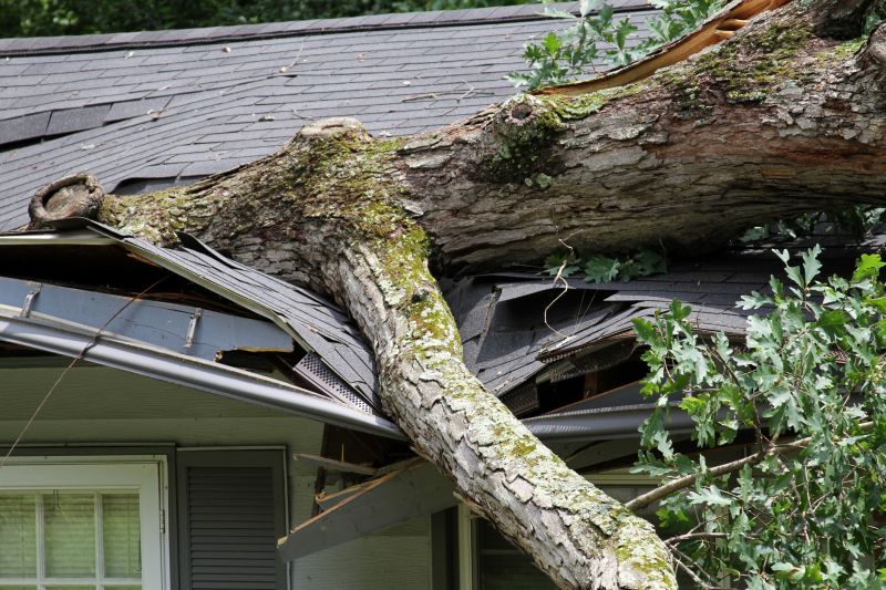 Asphalt Roofing Service in Nashua, NH