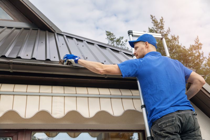 High-Quality Gutter Maintenance